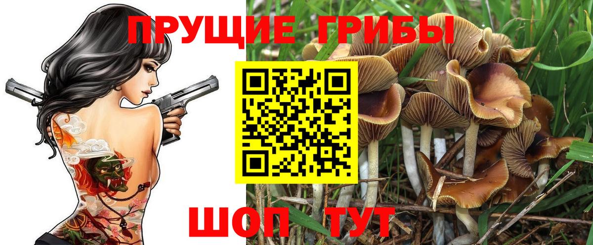 Псилоцибиновые грибы Psilocybine cubensis  Псилоцибиновые грибы мухоморы  наркотики  Вход с VPN  Шахты 